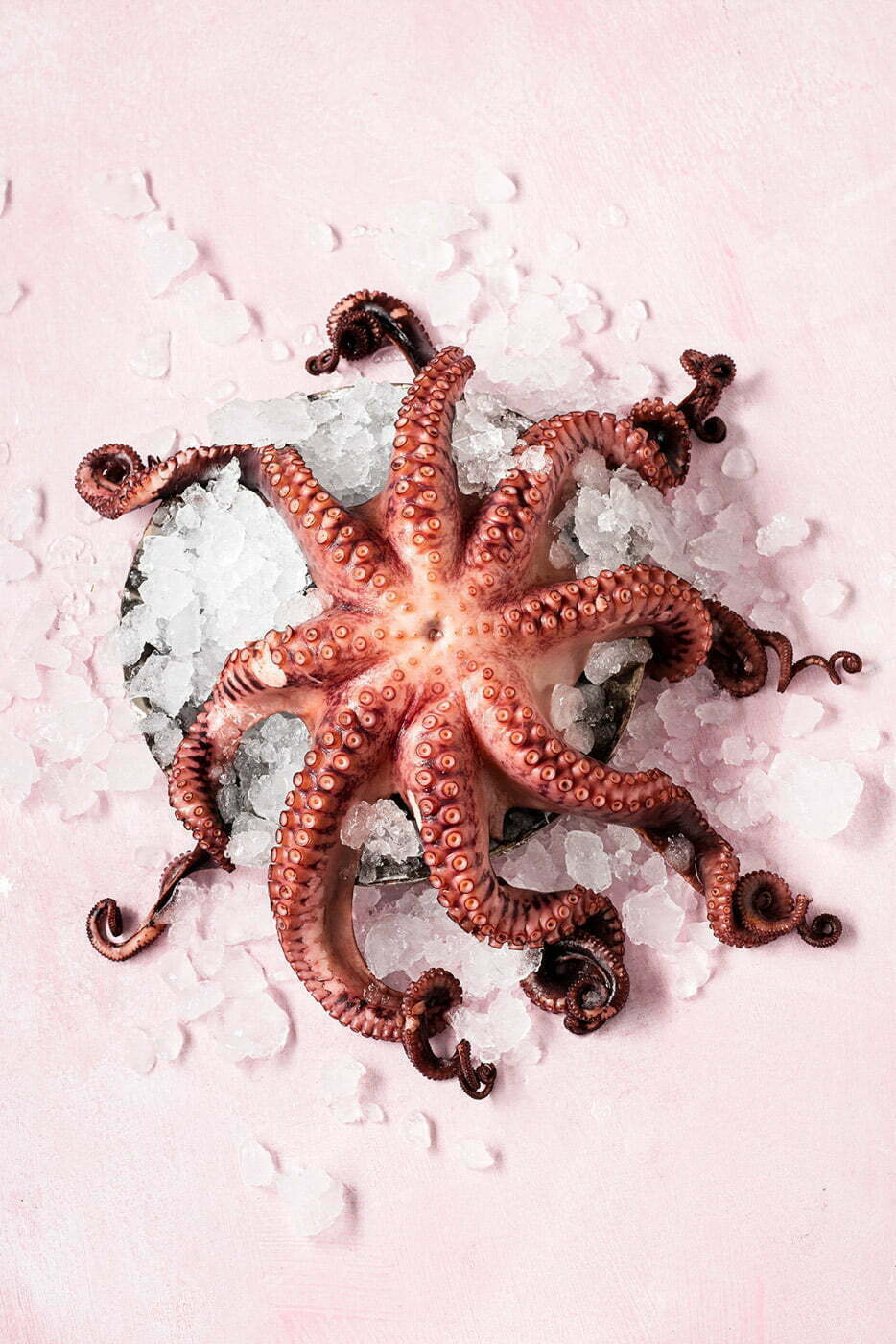 A_whole_octopus_with_smashed_ice_on_the_pink_table_For_Menu_Magazine_by_Elina_Himanen