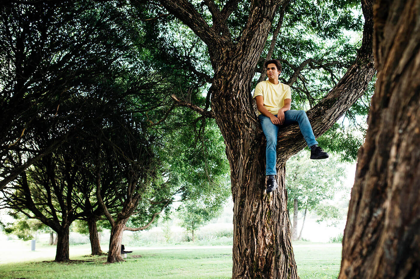 A young boy sitting on a tree in a park